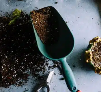 green metal garden shovel filled with brown soil